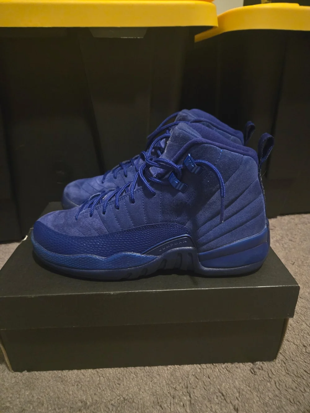 Air Jordan 12